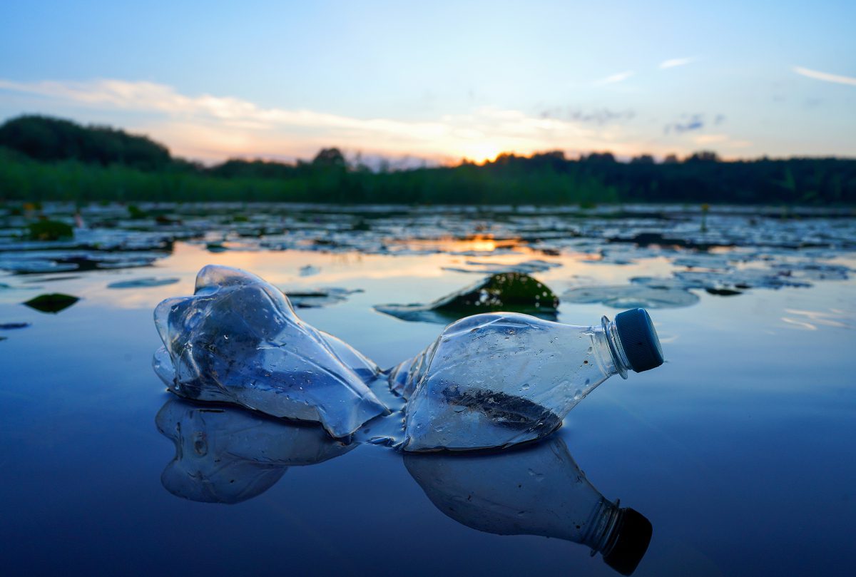 Plastic container floating in water with grassy land and sunset sky in the background