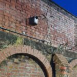 Bird and bat boxes installed at railway stations in northern England