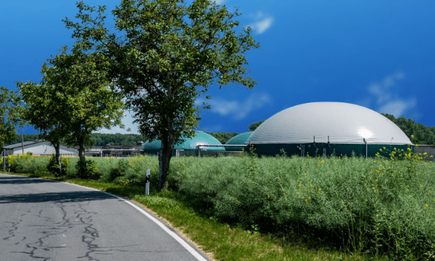 round roofed buildings surrounded by trees and bushes