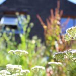 Brighton biosphere event to discuss climate and food challenges