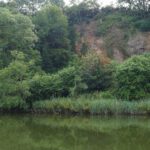 Rivers Trust conference calls for action on algal blooms