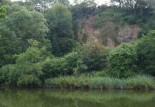 Whose pollution is it anyway? Project will use bacteriophages to point the finger