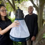 Mosquitoes reported from all across Scotland by citizen science project