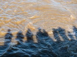 Environment Agency announces largest ever expansion of its enforcement team