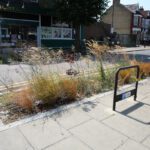 Ofwat Innovation Fund highlights nature’s role in solving water sector challenges