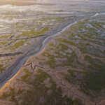 Shrinking saltmarshes threaten climate progress, but recovery is possible