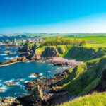 Restoring Britain’s seascapes: study calls for urgent habitat reconnection to meet climate and biodiversity goals