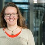 What are the UN negotiations on a global plastics treaty about?