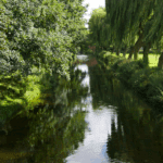 Nature-positive AI projects hailed successes following £2 million investment