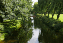 Citizen science survey to assess summer impacts on UK and Irish rivers