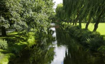 Citizen science survey to assess summer impacts on UK and Irish rivers