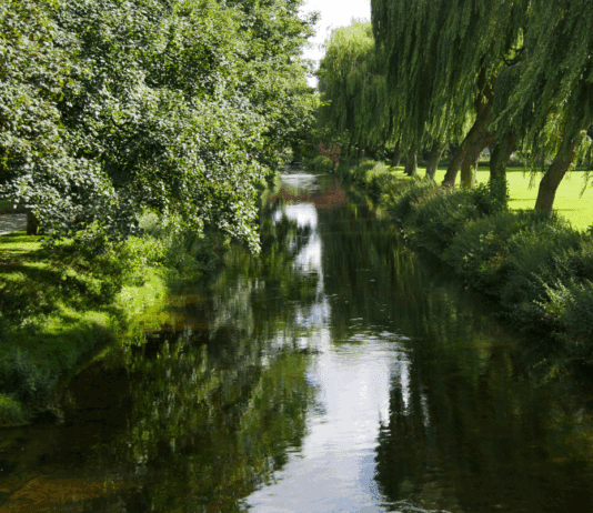 Citizen science survey to assess summer impacts on UK and Irish rivers