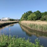 Project begins outfall-by-outfall monitoring in real-time on River Roding