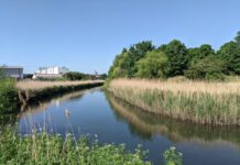 Project begins outfall-by-outfall monitoring in real-time on River Roding