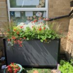 Yorkshire schools SuDS partnership boosts flood resilience