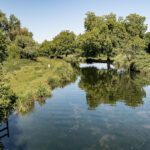 Alarming levels of microplastic pollution revealed by Hampshire chalk stream study