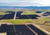 Apple backs 650 MW wind and solar build in Europe