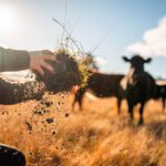 Systems-thinking study identifies agricultural practices that threaten soil health and global food supply