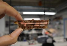 Biodegradeable PCBs demonstrate operation at GHz frequencies