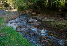 Weir removed as part of River Medlock restoration
