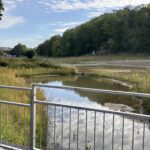 Brighton SuDS scheme is a landmark intervention to protect groundwater