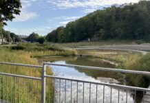 Brighton SuDS scheme is a landmark intervention to protect groundwater