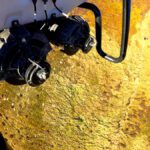 Project uses heavy-lift drones to seed trees in upland areas in the Scottish Borders