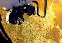 Project uses heavy-lift drones to seed trees in upland areas in the Scottish Borders