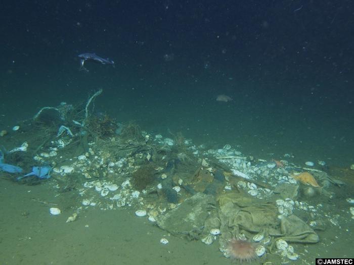 Murky image showing sea floor festooned with variously light- and dark-coloured items of litter