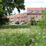 Businesses and experts back Biodiversity Net Gain for small sites