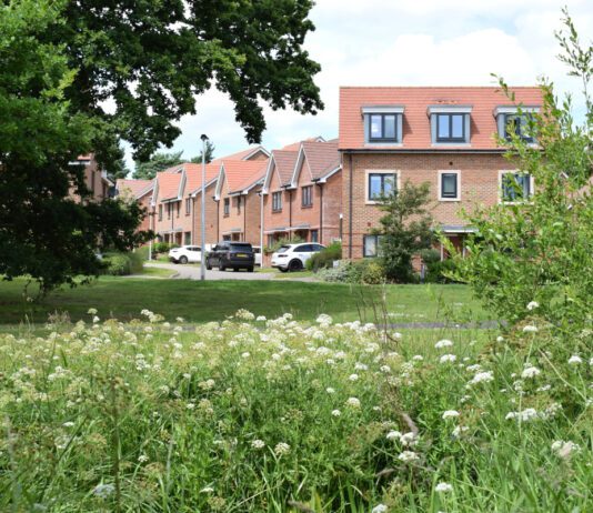 Businesses and experts back Biodiversity Net Gain for small sites