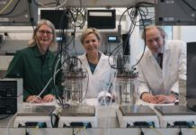 Using bacteria to create valuable materials from sludge: New funding announced in the Netherlands