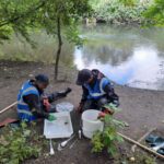 Community-led data tool to help build picture of river health in Thames Basin