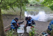 Community-led data tool to help build picture of river health in Thames Basin
