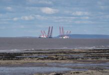 Nature groups reveal flaws underpinning government’s nuclear review, and warn of potential for catastrophe