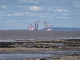 Nature groups reveal flaws underpinning government’s nuclear review, and warn of potential for catastrophe