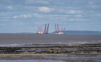 Nature groups reveal flaws underpinning government’s nuclear review, and warn of potential for catastrophe