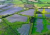 Ireland reaches milestone of 2GW installed solar capacity