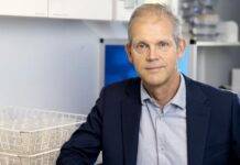 Time for a rethink on antibiotic-resistant bacteria?