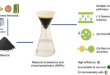 Turning farm waste into water filters