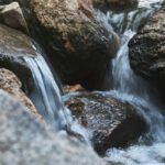 AI is changing the monitoring of biological pollutants in water bodies