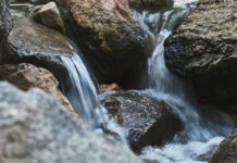 AI is changing the monitoring of biological pollutants in water bodies