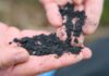 Biochar is emerging as a key material with uses in clean water, carbon capture and renewable energy