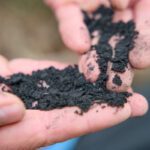 Biochar is emerging as a key material with uses in clean water, carbon capture and renewable energy