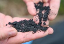 Biochar is emerging as a key material with uses in clean water, carbon capture and renewable energy