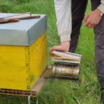Packaging firm partners with bee monitoring expert on biodiversity mapping