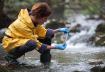 Test for faecal contamination cuts time for results from 24 hours to four