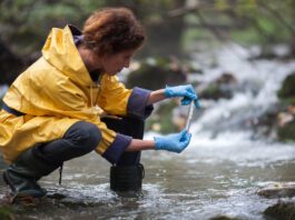 Test for faecal contamination cuts time for results from 24 hours to four