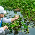 Study links falling phosphorus levels to ecological improvements in English rivers