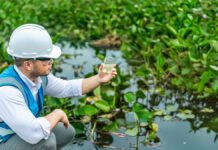 Study links falling phosphorus levels to ecological improvements in English rivers